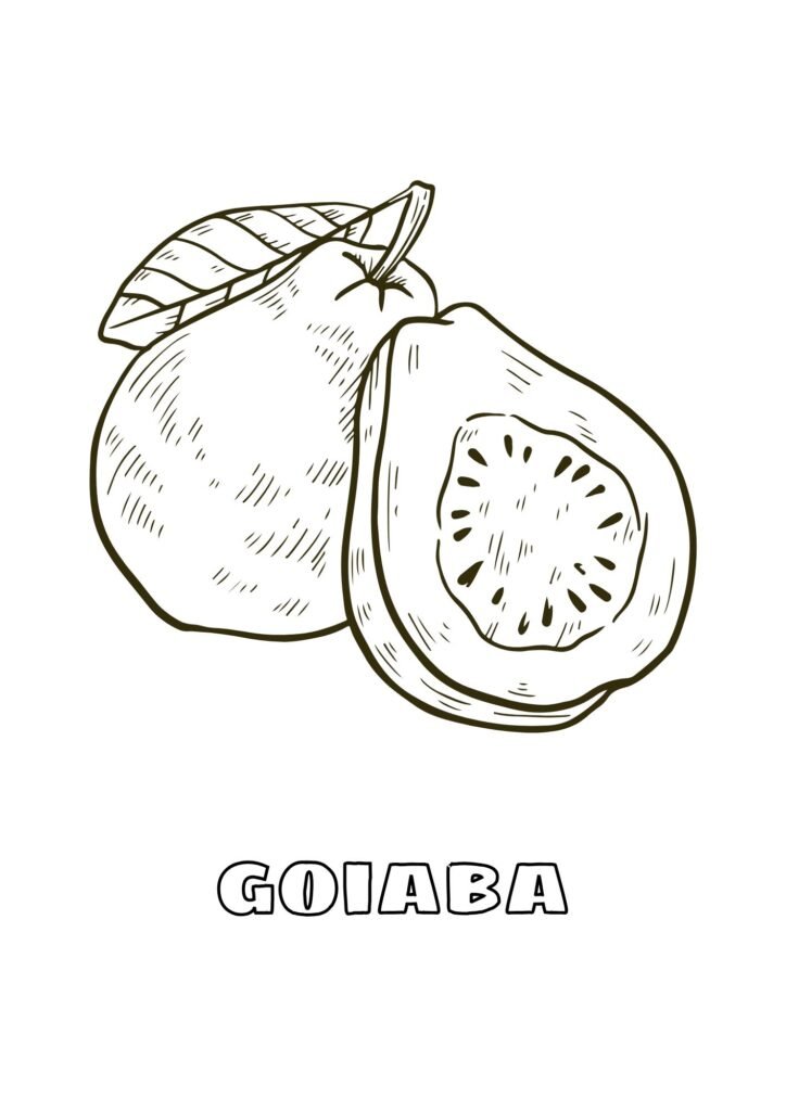 goiaba colorir